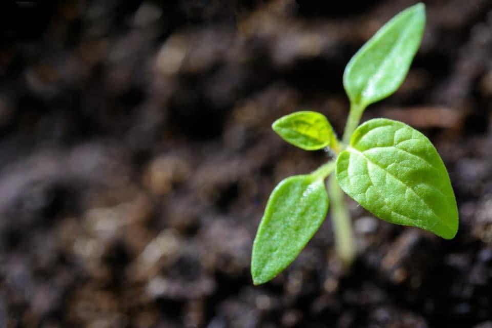We just raised the bar on plant-powered cleaning.